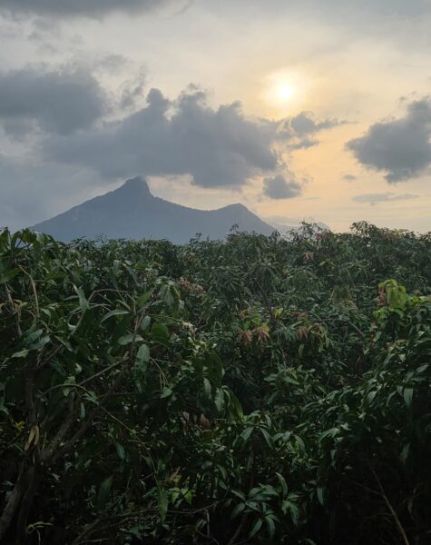 WhatsApp Image 2025-09-26 at 7.00.01 PM (5)